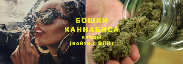 стаф Костерёво