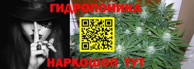 прущие грибы Камышлов