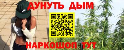 прущие грибы Камышлов