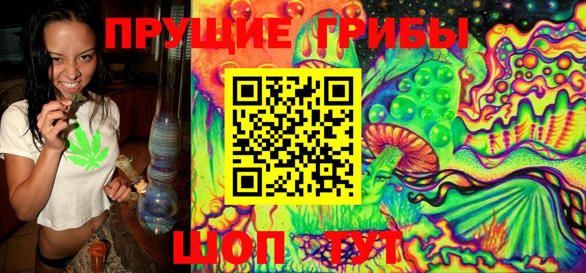 Галлюциногенные грибы GOLDEN TEACHER  Междуреченск 