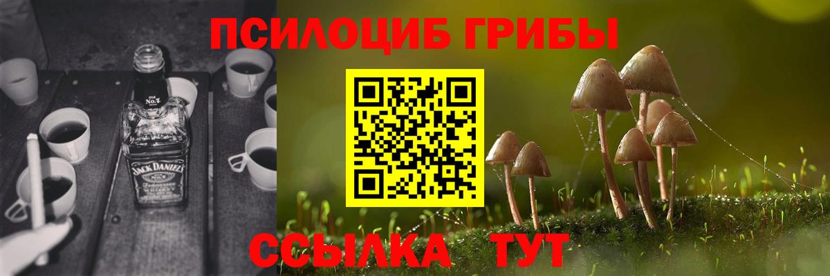 Междуреченск  Псилоцибиновые грибы MAGIC MUSHROOMS  Галлюциногенные грибы Magic Shrooms  цена   Вход с VPN 
